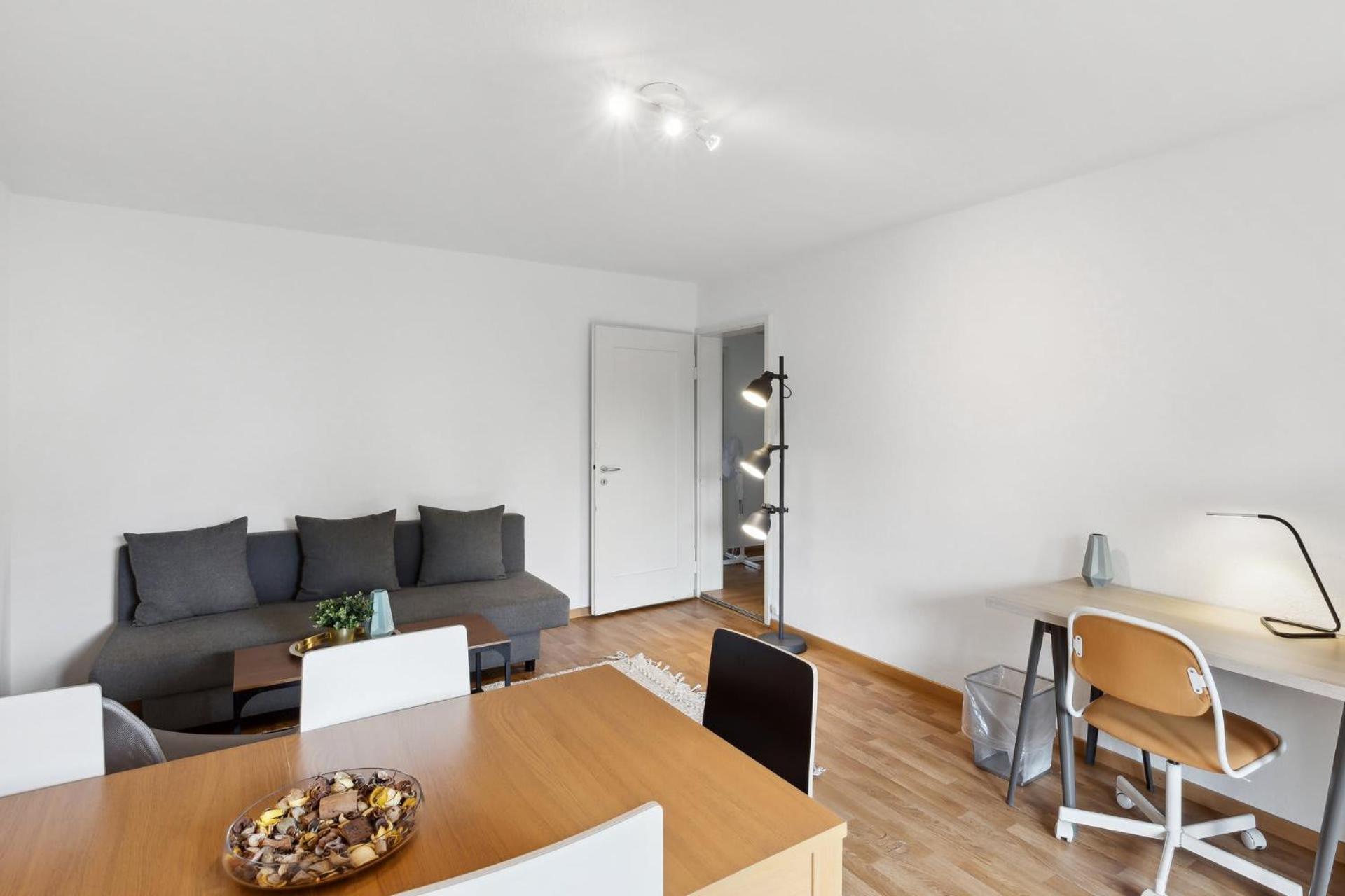 Duebendorfstrasse 171 Appartement Zürich Buitenkant foto